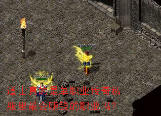 ��ʿ����ǵ�ְҵ����˽�������׬Ǯ��ְҵ��
