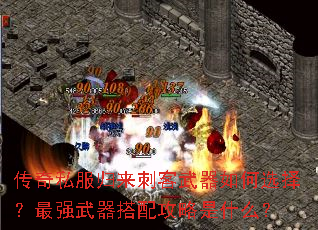 ����˽�������̿��������ѡ����ǿ�������乥����ʲô��