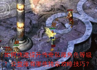 如何快速提升传奇私服角色等级?公益服有哪些独家攻略技巧? 如何快速提升传奇私服角色等级?公益服有哪些独家攻略技巧?