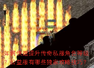 如何快速提升传奇私服角色等级?公益服有哪些独家攻略技巧? 如何快速提升传奇私服角色等级?公益服有哪些独家攻略技巧?