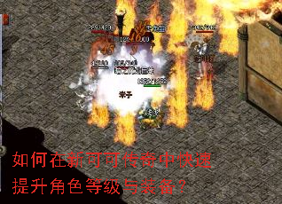如何在新可可传奇中快速提升角色等级与装备? 如何在新可可传奇中快速提升角色等级与装备?