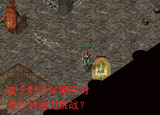 ��ʿְҵ���Ӧ�Է�ʦ��ǿ����ս��