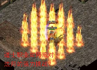 ��ʿְҵ���Ӧ�Է�ʦ��ǿ����ս��