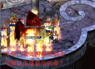 ���������θ���ְҵ��ȼ�ѡ�����װ����