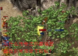 为什么传奇法师都偏爱血饮剑而非骨玉权杖? 为什么传奇法师都偏爱血饮剑而非骨玉权杖?
