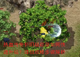 ��Ѫ���滳�ɰ�ѫ����ο�����������ϸ���Բ������