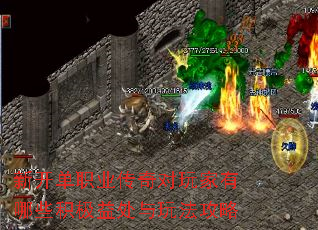 �¿���ְҵ������������Щ�����洦���淨����