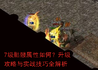 7级骷髅属性如何?升级攻略与实战技巧全解析 7级骷髅属性如何?升级攻略与实战技巧全解析