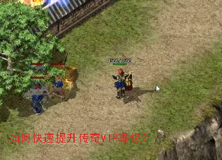 如何快速提升传奇VIP等级? 如何快速提升传奇VIP等级?