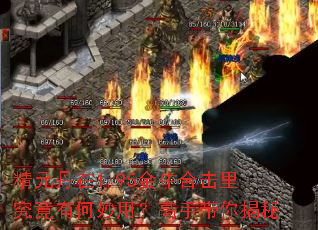 ��Ԫ����1.95��ţ�ϻ��﾿���к����ã����ִ������
