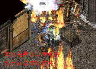 �����ѻ�ȡ������Ϸ�޲�������������