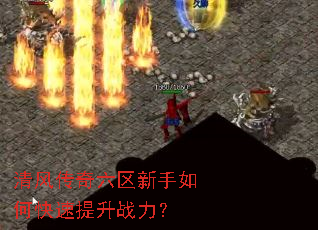 ��紫������������ο�������ս����