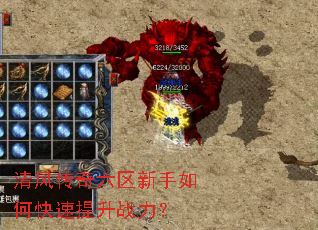 ��紫������������ο�������ս����