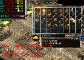 ��紫������������ο�������ս����