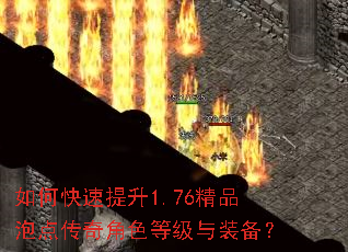 ��ο�������1.76��Ʒ�ݵ㴫���ɫ�ȼ���װ����