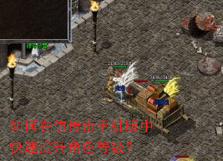 如何在仿传奇手机版中快速提升角色等级? 如何在仿传奇手机版中快速提升角色等级?