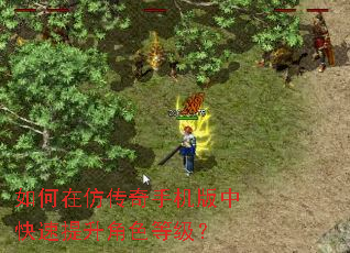 如何在仿传奇手机版中快速提升角色等级? 如何在仿传奇手机版中快速提升角色等级?