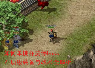 ��ε�����Īͣboss������װ����ս��ȫ����