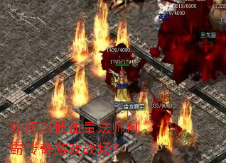 ����Ե�Ѫ����ʦ�ưԴ�����Ϸս����
