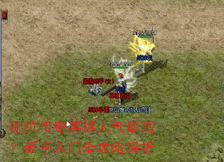 ��λ����Ӣ��������ߣ���������ȫ���Խ���