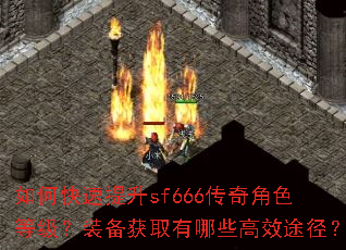 ��ο�������sf666�����ɫ�ȼ���װ����ȡ����Щ��Ч;����