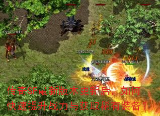 传奇SF最新版本更新后,如何快速提升战力与获取稀有装备? 传奇SF最新版本更新后,如何快速提升战力与获取稀有装备?